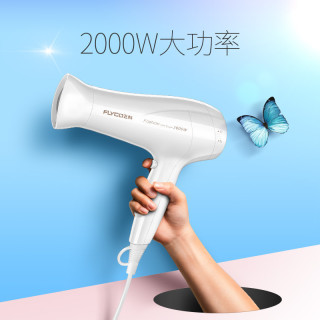 FLYCO 飞科 FH6232 电吹风