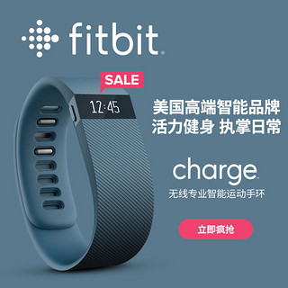 Fitbit Charge02 智能手环  酒红色 S