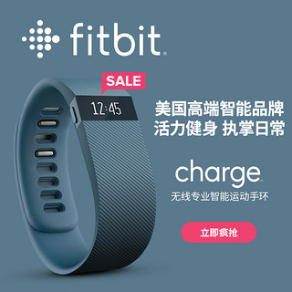 Fitbit Charge02 智能手环  灰蓝色 L
