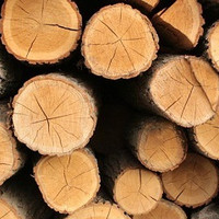 菠萝斑马 | 实木100个坑，见证我所有的愚蠢