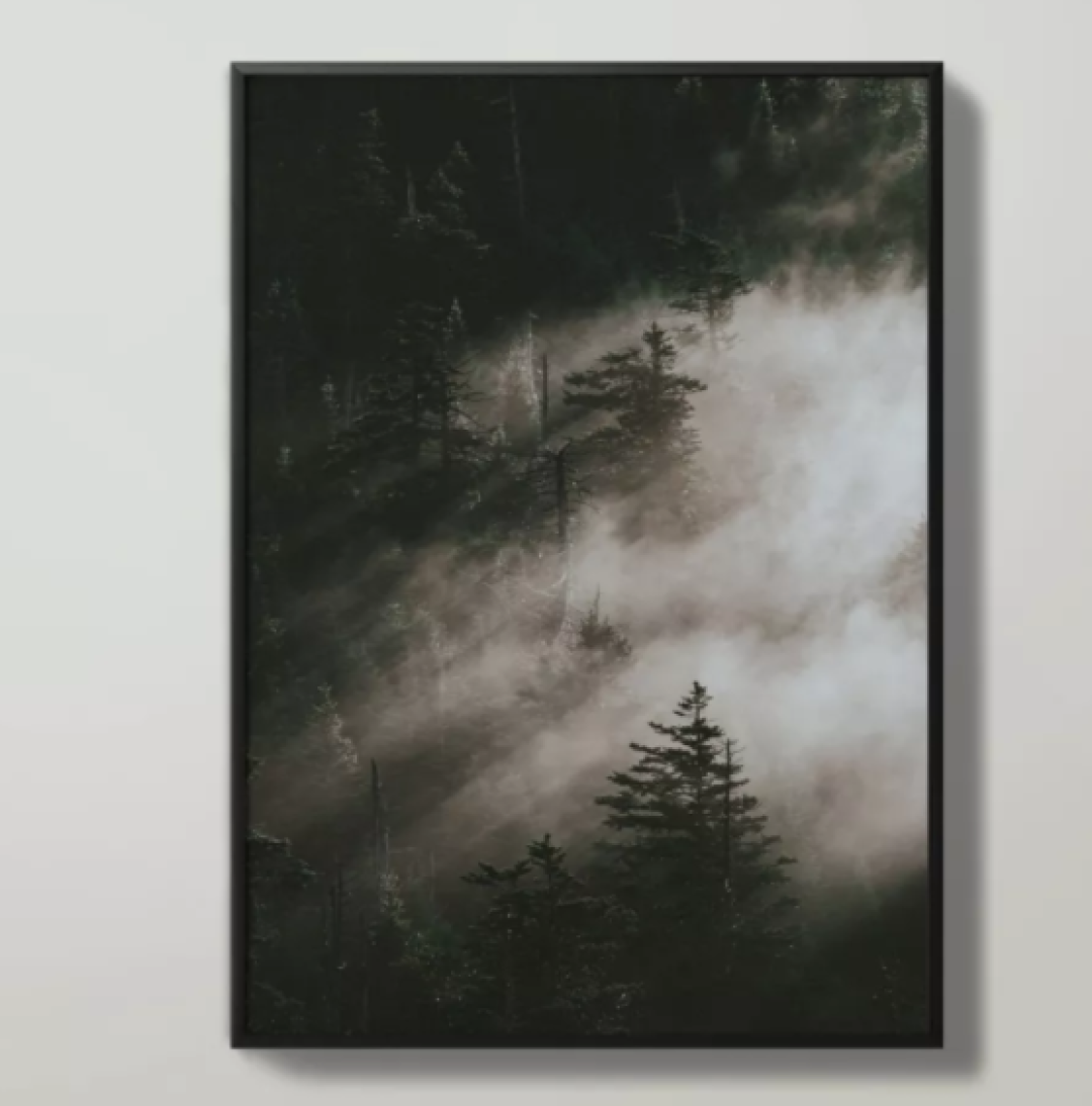 装饰画该怎么挂怎么选 才算人间精品