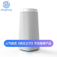 Ding Dong 叮咚 A1 AI音箱