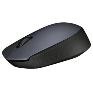 Logitech 罗技 M170 无线鼠标