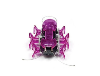 HEXBUG 赫宝 机器虫系列 蚂蚁 