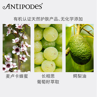 ANTIPODES 鳄梨滋养晚霜 60ml