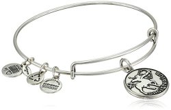 Alex and Ani A13EB01SARS 女士手镯