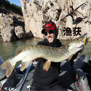DECATHLON 迪卡侬 CAPERLAN TELE 180 路亚竿 2.4m
