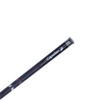 DECATHLON 迪卡侬 CAPERLAN LKESIDE 9 鲤鱼竿 5m