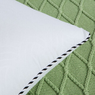 MERCURY 水星家纺 枕头 情意绵绵双人枕 2个 48cm*118cm