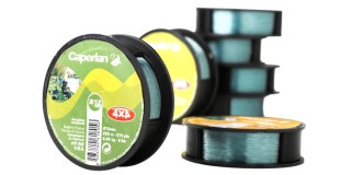DECATHLON 迪卡侬 CAPERLAN 进口尼龙鱼线 250米 0.25mm