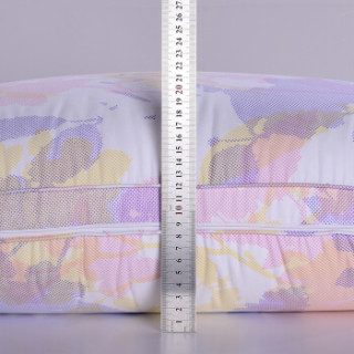 FUANNA 富安娜 枕头 波兰森睡鹅绒纤维组合枕 70cm*45cm