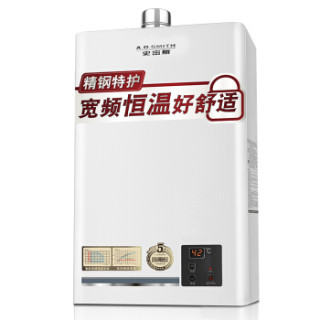 A.O.SMITH 史密斯 D1系列 JSQ33-D1 恒温强排式燃气热水器 天然气 16L