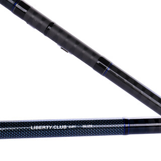 DAIWA 达亿瓦 LIBERTY CLUB SURF 海钓鱼竿 25-4.2m