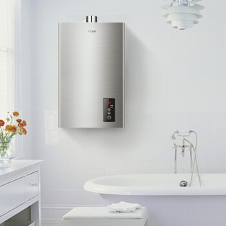 Haier 海尔 A1系列 JSQ24-12A1(12T) 燃气热水器 12L 天然气（12T）