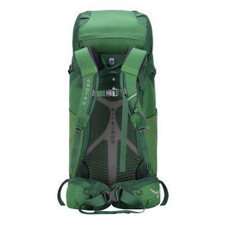 OSPREY 小鹰 Kestrel 徒步登山专业背包 38L 17款绿色 S/M