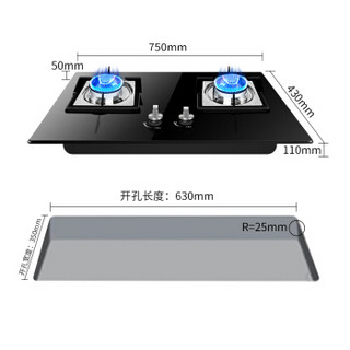 Canbo 康宝 B103 钢化玻璃燃气灶具双灶  天然气12T