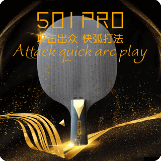 SWORD 世奥得 501PRO 乒乓球拍底板