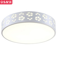 HAIDE 海德照明 HAIDE LIGHTING 雪花 LED吸顶灯 24W