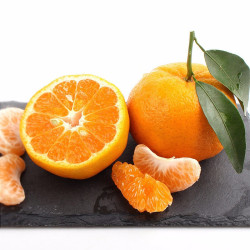 湖北岩松坪 清江椪柑\/芦柑 5斤