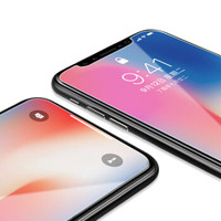 LONGER 朗客 iPhoneX 玻璃膜 2片装