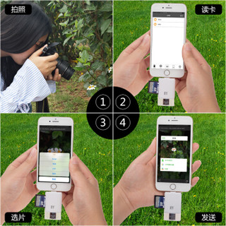 FB 沣标 OTG6系 手机读卡器 