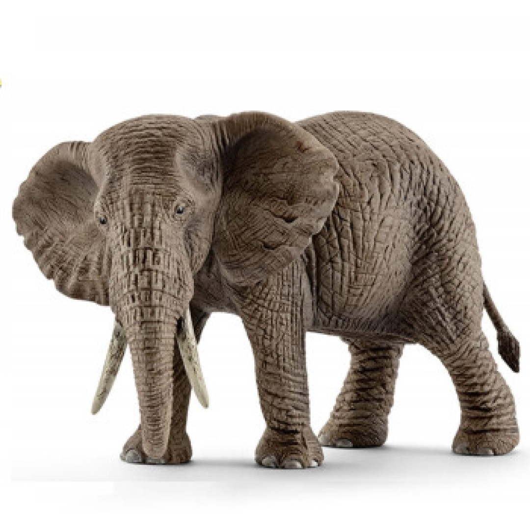 组建一套思乐(Schleich)野生动物园 你大概需要花多少钱？