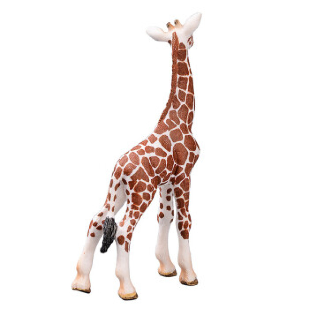 打造迷你动物园!思乐(Schleich)野生动物养成计划
