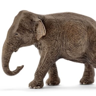 【schleich/思乐动物模型】schleich 思乐 野生动物 仿真模型 母亚洲