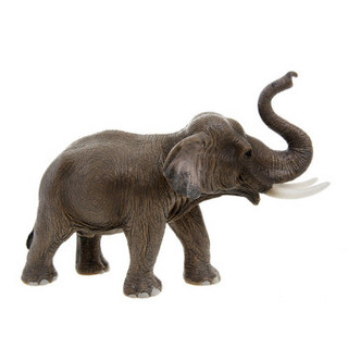 Schleich 思乐 野生动物 仿真模型 公亚洲象SCHC14754