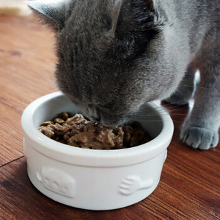 田田猫 卡通浮雕 陶瓷猫碗 白色