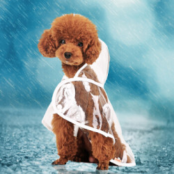华元宠具狗狗透明四脚雨衣小型犬防水衣狗狗衣服美丽透明防水雨衣l 胸围41 46cm 8件 什么值得买 华元宠具狗狗透明四脚雨衣小型犬防水衣狗狗衣服美丽透明防水雨衣l 胸围41 46cm 8件 什么值得买