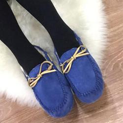 Ever Australia Ugg 11613 女款经典毛豆豆鞋