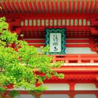 门票日、促销活动、限移动端：国内外门票/一日游