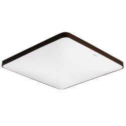Panasonic 松下 装饰带款 LED吸顶灯 46W 深棕色  *2件