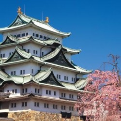 跟着蛙蛙去旅行 上海-日本名古屋7天1晚自由行 春秋航空 含1晚大阪酒店