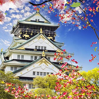 特价机票：优质航司！北京-日本大阪4-30天往返含税