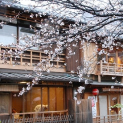 全国多地-日本东京 5天4晚自由行