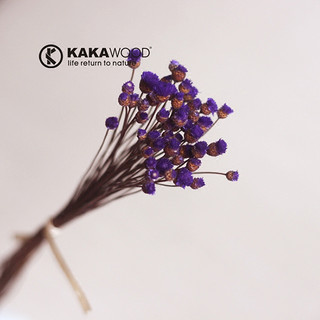 kakawood 素居 天然植物干花 深绿色