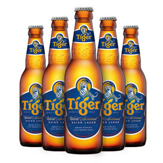 虎牌啤酒（TIGER） 原味 330ml*24瓶 整箱装