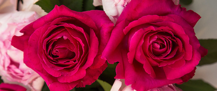  一朵花的万般姿态十款玫瑰主题香氛推荐榜