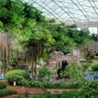 春节泡汤：固安建国温泉酒店1晚+无限次私汤
