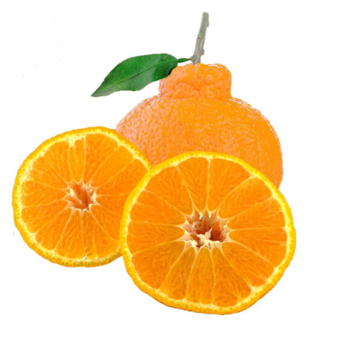 限APP端:四川眉山不知火丑橘 柑橘 2.5kg装 2