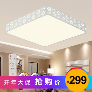 HAIDE LIGHTING 海德照明 HAIDE 海德照明 雪花 LED客厅吸顶灯 55W 方形