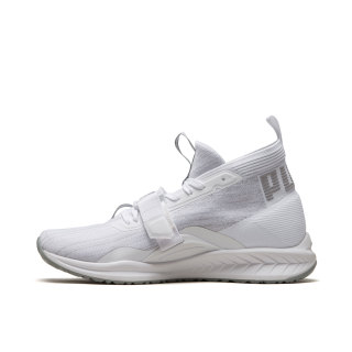 PUMA 彪马 IGNITE evoKNIT 2 男子休闲运动鞋 40 彪马白/矿灰色