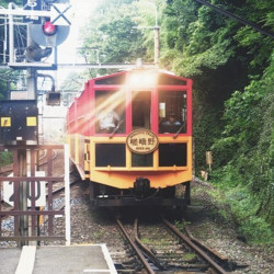 网红款 日本京都岚山嵯峨野观光小火车乘车票 什么值得买