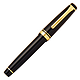 SAILOR 写乐 11-2036 21k大型平顶双色尖钢笔