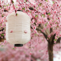 特价机票:春秋航空 上海-日本大阪\/名古屋5天往