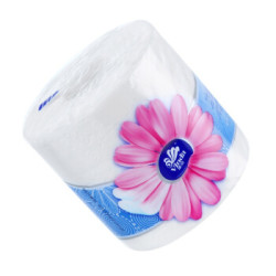 Vinda 维达 立体美 有芯卷纸 4层*160g*27卷 *2件
