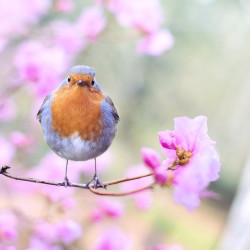 春读书兴味长，莫负好时光