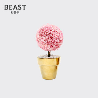 THE BEAST 野兽派 蝴蝶花 迷你永生花树